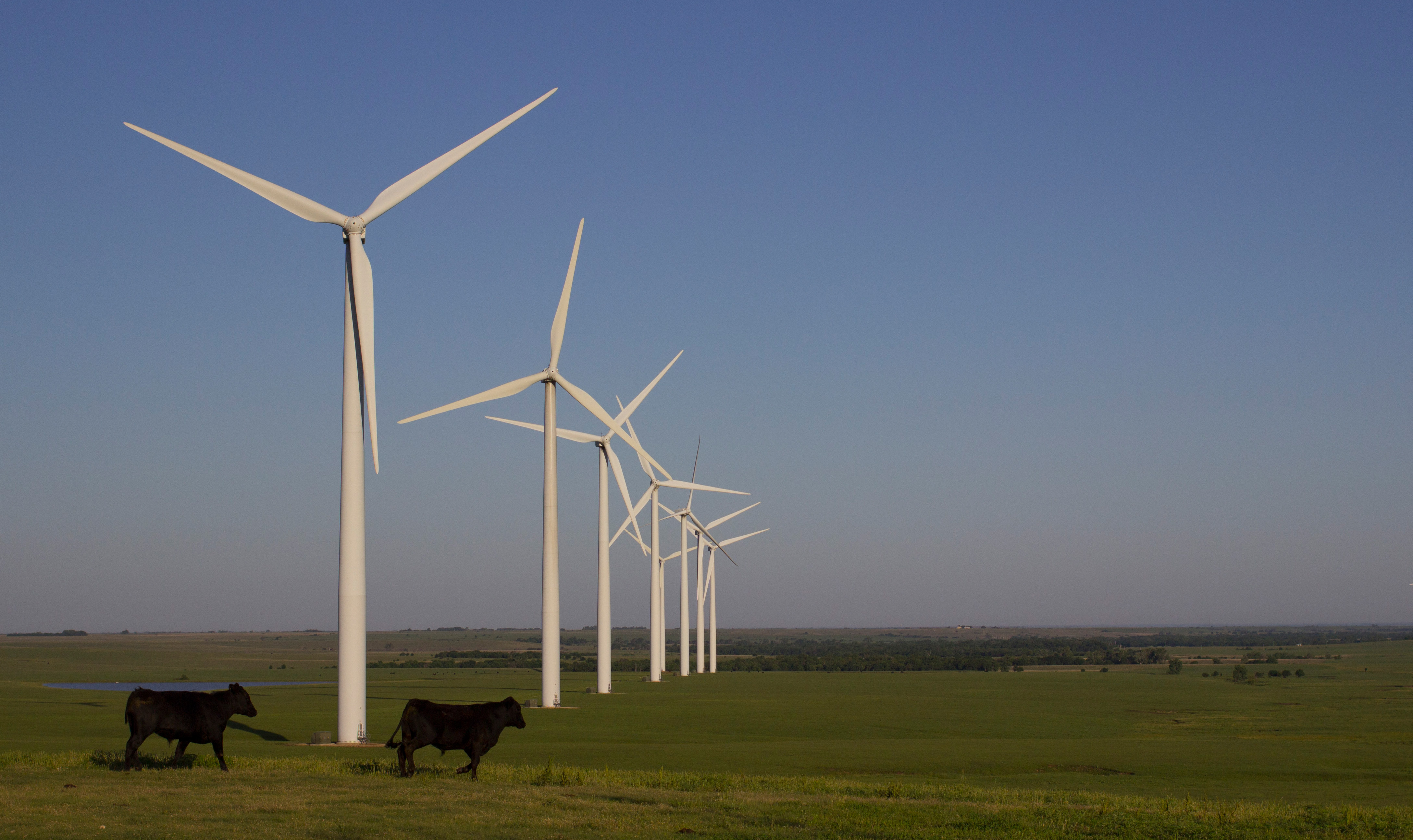 A windy future for the Flint Hills